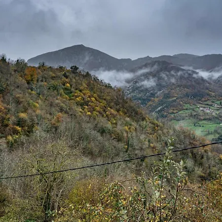 Carbayu Senda Del Oso *