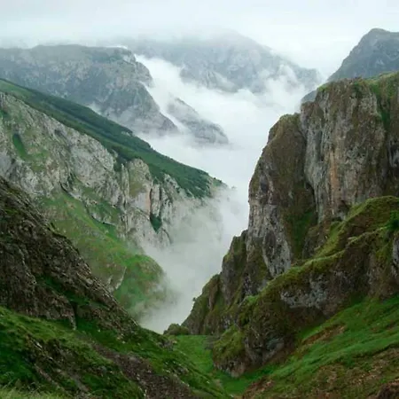 Carbayu Senda Del Oso * Proaza