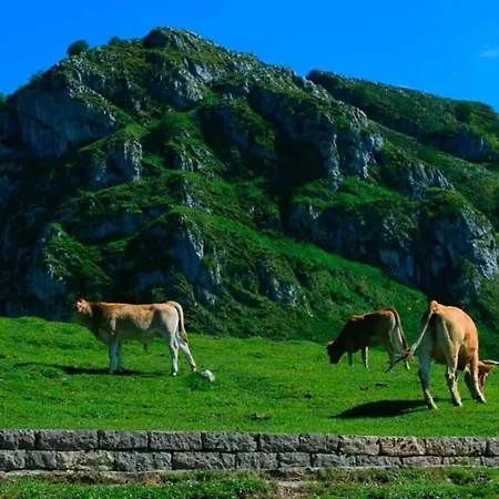 Carbayu Senda Del Oso Appartement *