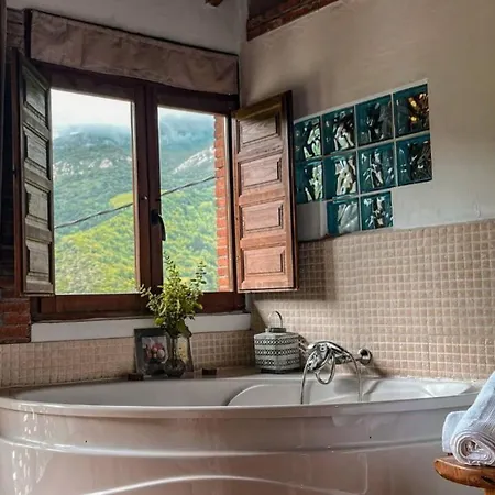 Carbayu Senda Del Oso *