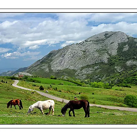 Carbayu Senda Del Oso